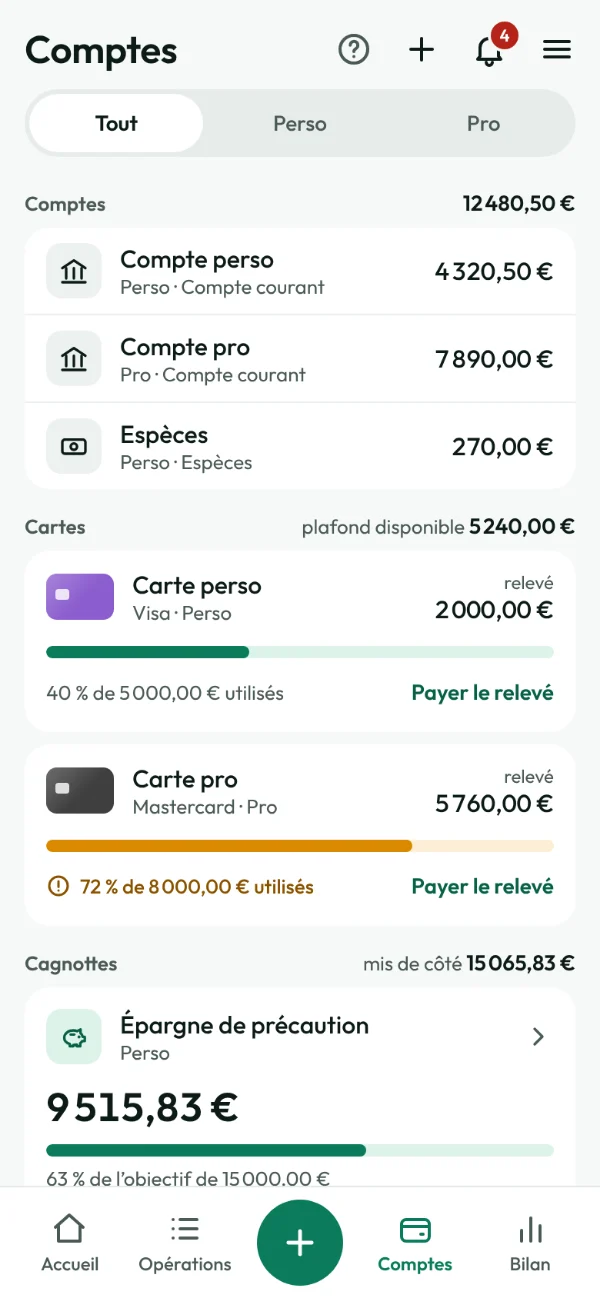 Écran Comptes : les comptes, les cartes avec le plafond utilisé et les cagnottes